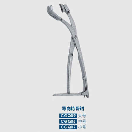 Guide bone holding forceps